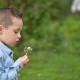 Jongen met paardenbloem